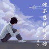 刘佳宁 - 你不想我我想你