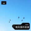 Dj娃哈哈 - 晚风里的浪漫