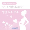 차병원 - Fetus-Music Capsule C-Epilogue 2