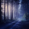 Cuban Music Playlist、Sounds of the Sea、Waves of Atlantic - Calm Night Embraces Quiet