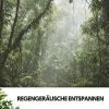 Música Relajante Para Leer、Rain Wonder、Entspannungsmusik - Flüsternde Tropfen