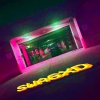 Swag - THATSOKAYRAVESWEREBETTERIN2009ANYWAYS