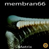membran 66 - Matrix