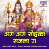 Shrikant Narayan - Ag Ag Sohala Sajala G