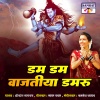Shrikant Narayan - Dam Dam Vajtiya Damaru