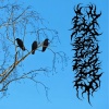 Absurdo - Mental structures