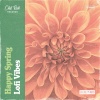 IJO - Path to Home