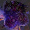 Kadananka - tres humans (long version)