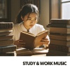Cat Music Therapy、Water Science、Focus and Work - Gotas de lluvia tranquilas