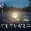 泽阳 - 梦里梦外都是你