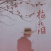百万调音师 - 梅花泪 (钢琴曲珍藏版)