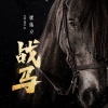 崔伟立 - 战马