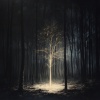 Moon Samples、Path to the Wild、Nature Therapy - Chakra Grounding Energy