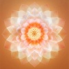 Moon Samples、Path to the Wild、Nature Therapy - Balanced Energy for Spiritual Awakening