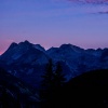 Ringtones Hits、Waterfall Library、Swamp Escape - Mellow Vibes for Tranquility