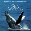 Tony O'Connor - Twilight Suspension