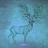 Grammelot - Spark
