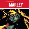 Bob Marley & The Wailers - One Love