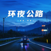 麦冬 - 环夜公路 (我看着车窗外倒退的夜)