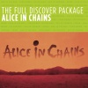 Alice In Chains - We Die Young