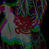 U.P、重音テト - 怒 (feat. 重音テト & IA)(Explicit)