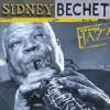 clarence williams' blue five、Sidney Bechet - Wild Cat Blues