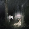Noah Cyrus、fleet foxes - Don't Put It All On Me