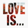 Credo - Love is...
