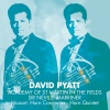 david pyatt - I. Allegro
