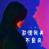 王一佳 - 可惜我并不是风