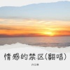 许立琳 - 情感的禁区