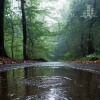 Tmsoft's White Noise Sleep Sounds - Puddle Rain (Loopable No Fade)
