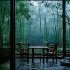向枫蓝 - 茶 生活 (舒缓背景音乐)