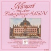Orchester der Ludwigsburger Festspiele、Robert Dohn、Margit Anna Süss - Allegro