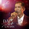 Quang Bình - Đập Vỡ Cây Đàn