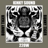 Kinky Sound - 220 W
