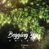 你在暮色中 - Begging You (宝藏哼唱旋律)