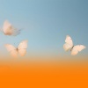 Chill Bees、The Sleep Specialist、Soothing Sounds - Emotional Healing Music With Soothing River Sounds And Gentle Piano With Relaxing Harp