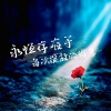 春山晓、小雪人 - 永恒存在于每次绽放的瞬息