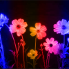 WILLIЯM - Burst into Bloom