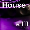 ARAYASHIKI - House Depths