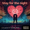 DJ Michael Berth - Stay For The Night