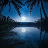 Celtic Orchestra、Campfire Sounds Ear ASMR、Bali Rain - Serenity Soft Night Melodies