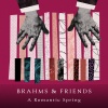 aloys kontarsky、alfons kontarsky - Brahms: 16 Waltzes, Op. 39: No. 6 in C-Sharp Major