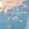 艾羽 - 你不懂我的世界