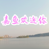 追梦 - 嘉鱼欢迎你