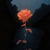 Blu Shore - Midnight Bloom