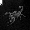 Ship Wrek、Datti - Animal