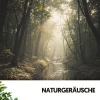 Solfeggio Frequencies 528Hz、The Nature Soundscapes、Musik für die Arbeit - Luna de Plata