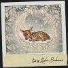 Cat Music Therapy、The Nature Soundscapes、Travail Bureau France - Flüsternde Regentropfen